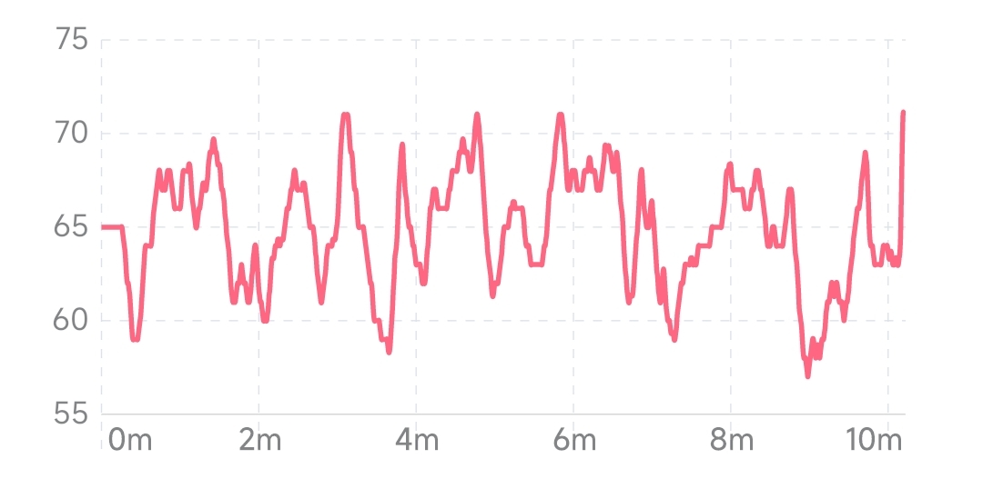 典型冥想过程中的心率变化曲线（呈现无序性）